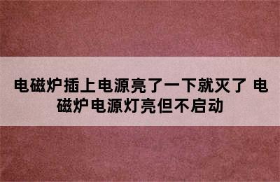 电磁炉插上电源亮了一下就灭了 电磁炉电源灯亮但不启动